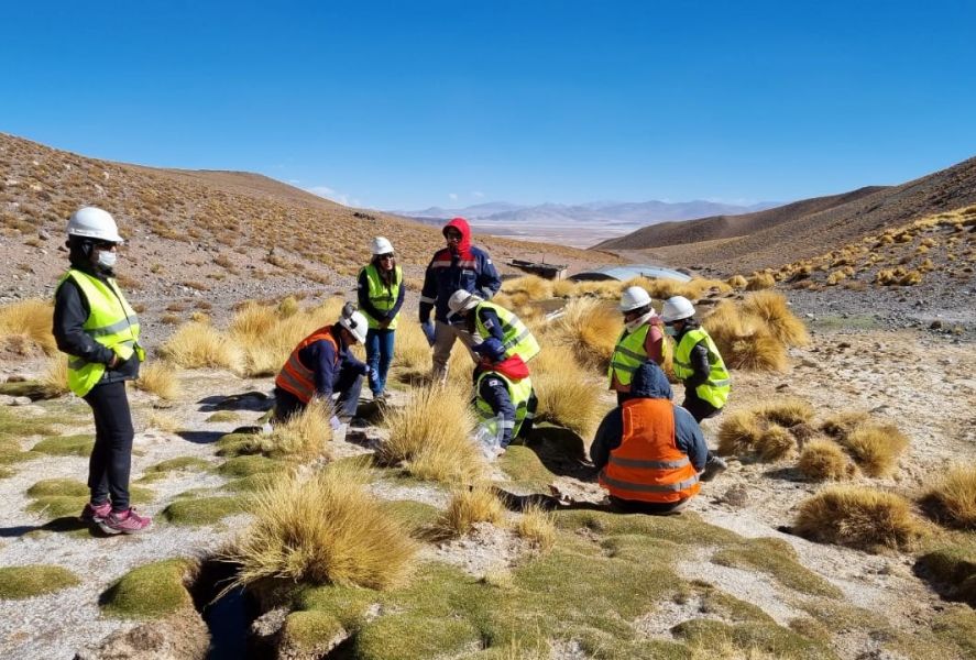 MONITOREO AMBIENTAL PARTICIPATIVO